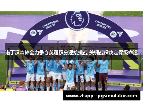 诺丁汉森林全力争夺英超积分迎接挑战 关键战役决定保级命运 诺丁汉森林全力争夺英超积分迎接挑战 关键战役决定保级命运