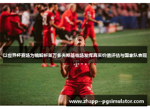 以世界杯赛场为镜解析莱万多夫斯基临场发挥真实价值评估与国家队表现