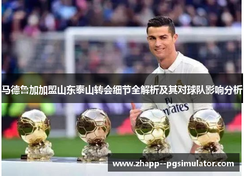 马德鲁加加盟山东泰山转会细节全解析及其对球队影响分析