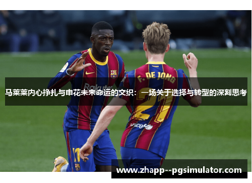 马莱莱内心挣扎与申花未来命运的交织：一场关于选择与转型的深刻思考